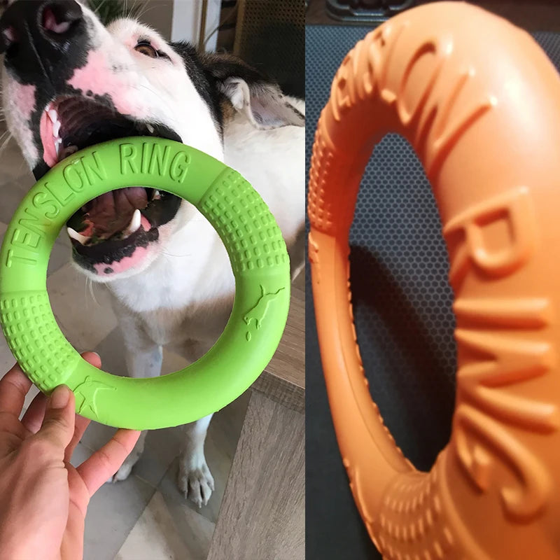 Pull & Play EVA Ring — Tough Tug Toy for Energetic Dogs