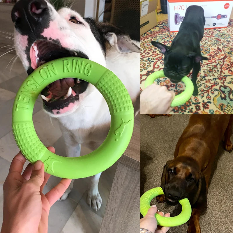 Pull & Play EVA Ring — Tough Tug Toy for Energetic Dogs