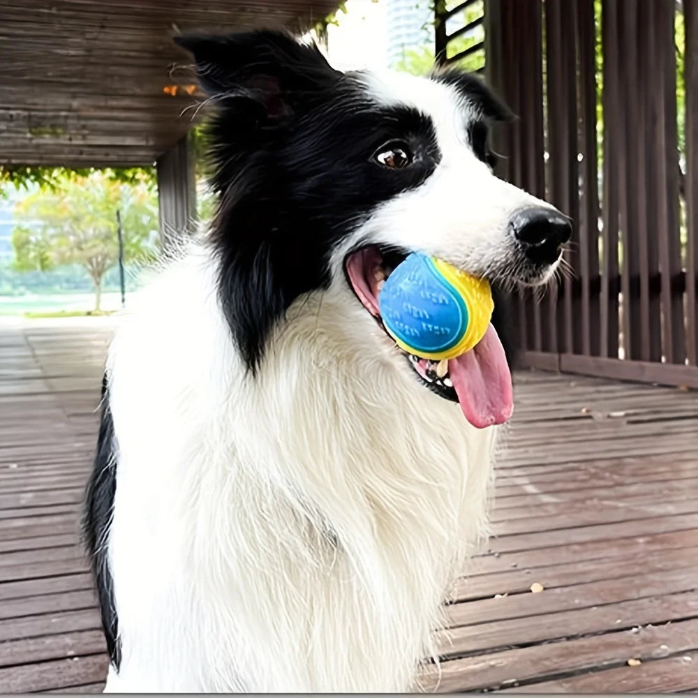 Durable Crew Ball Dog Toy — Interactive Chew & Play