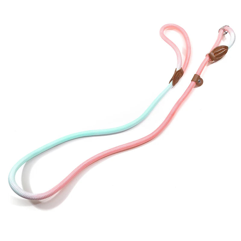 Automatic Retractable Dog Leash — 3 m / 5 m / 5 m Plus / 8 m (One-Touch Brake, Padded Grip)