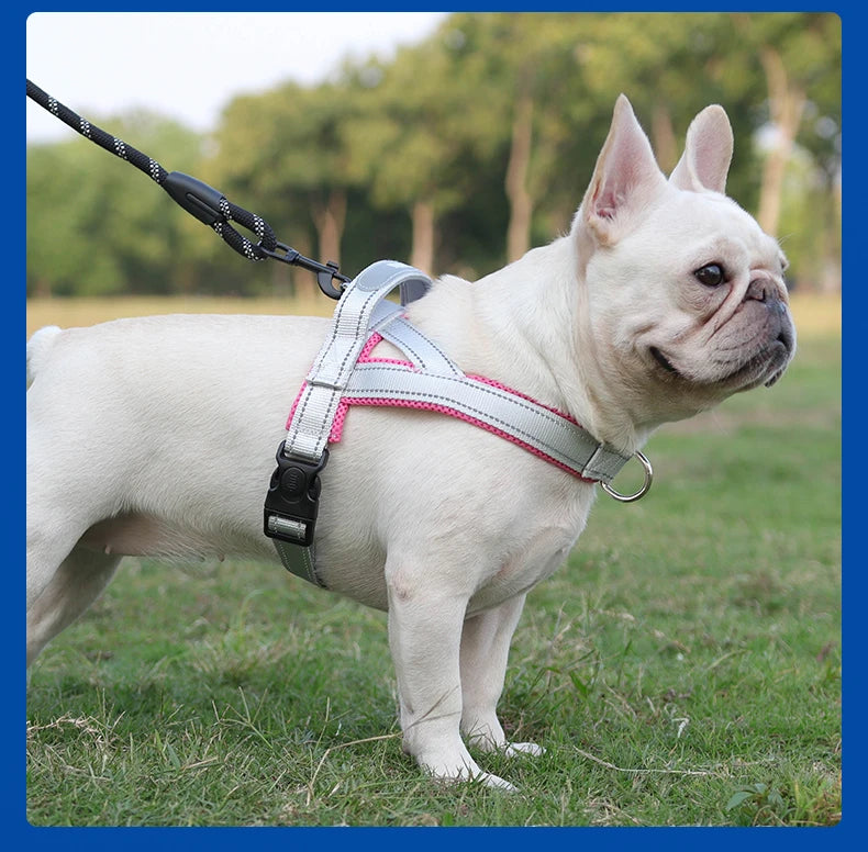 CDDMPET Saddle-Style Dog Harness — Padded, Reflective, No-Pull (S/M/L/XL)