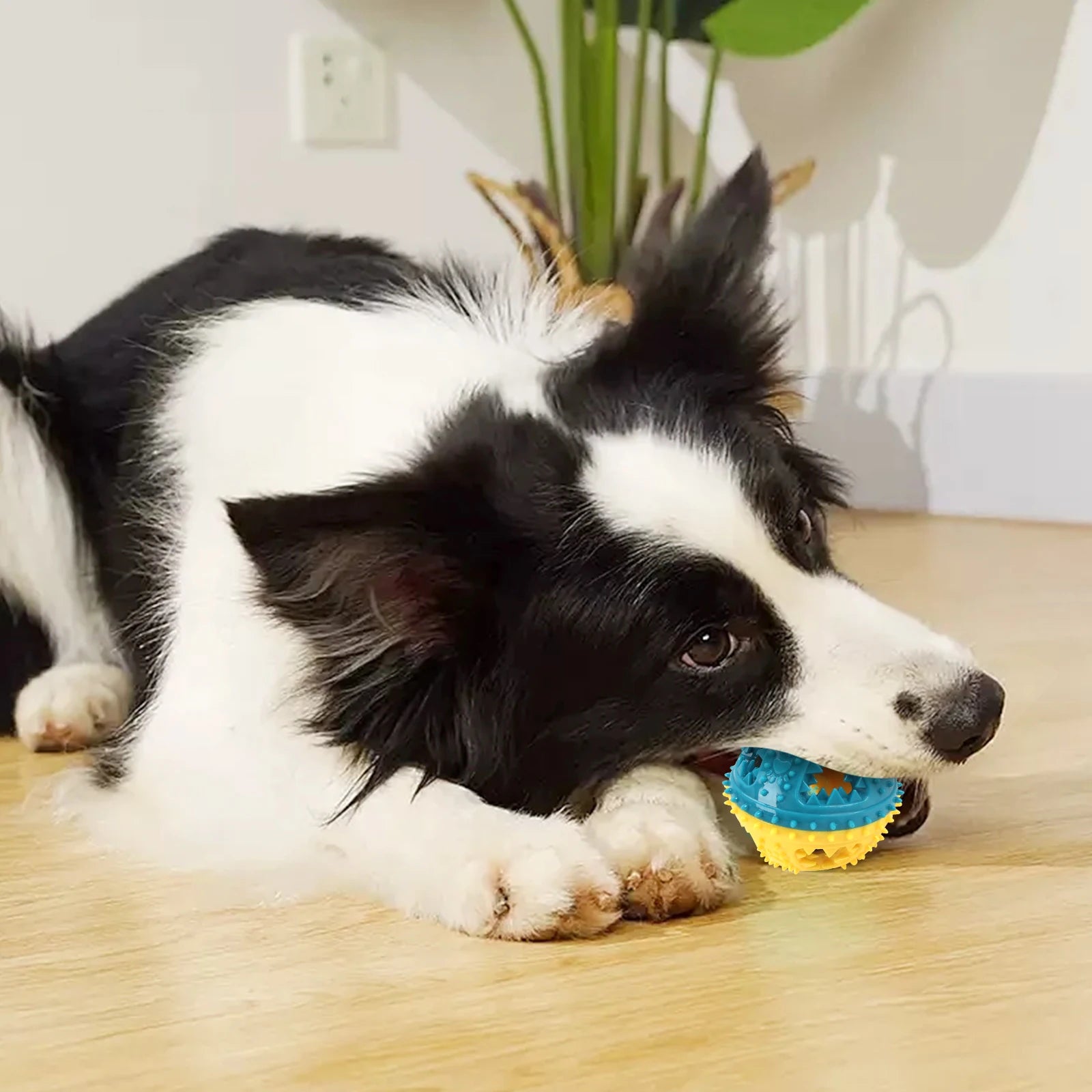 COOLPLAY Treat-Dispensing Chew Ball — Dental Grooves, Bell Sound (Rubber, 8.4 cm)