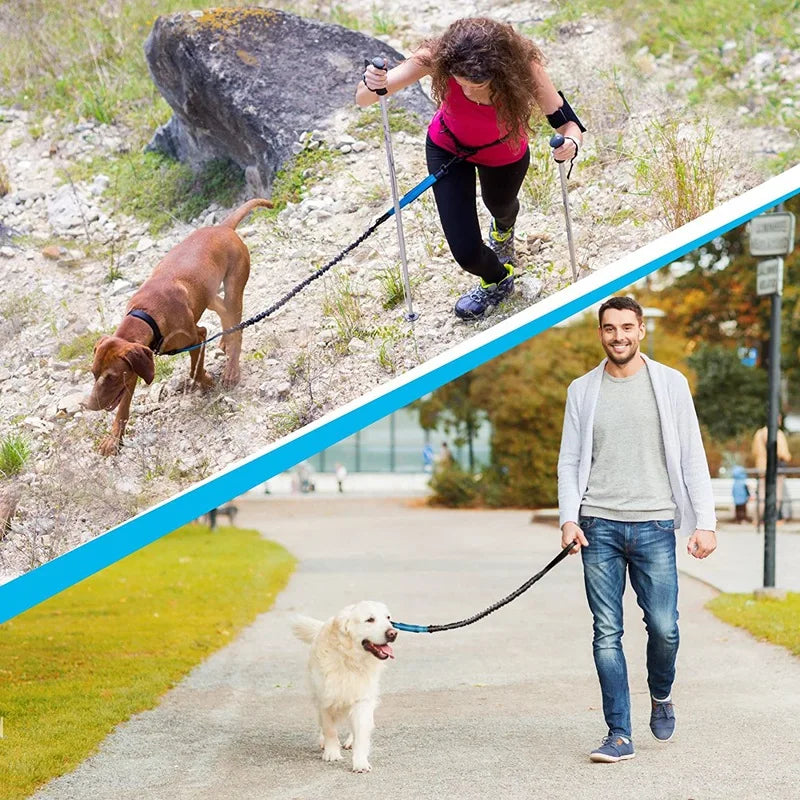Hands-Free Running Dog Leash — Double-Elastic Bungee, Reflective Waist Belt (160–260 cm)