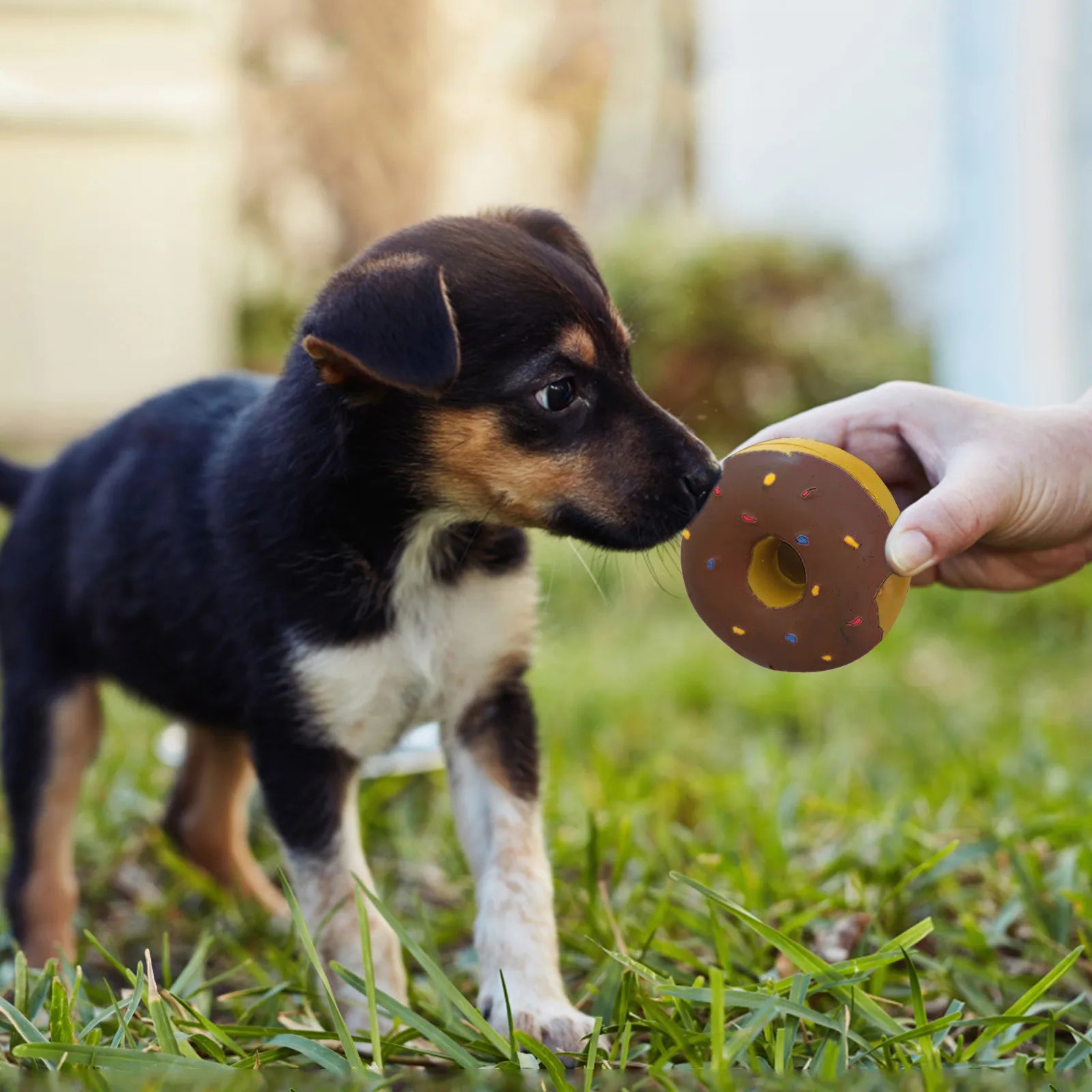 Durable Donut Dog Toy — Grinding & Cleaning Relief