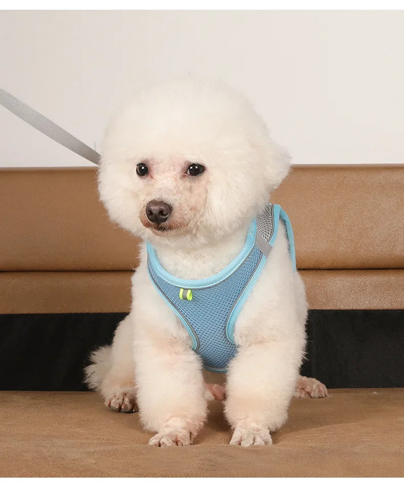 Mesh Vest Dog Harness — Reflective, Quick-Release (Small Dog Vest Harness)