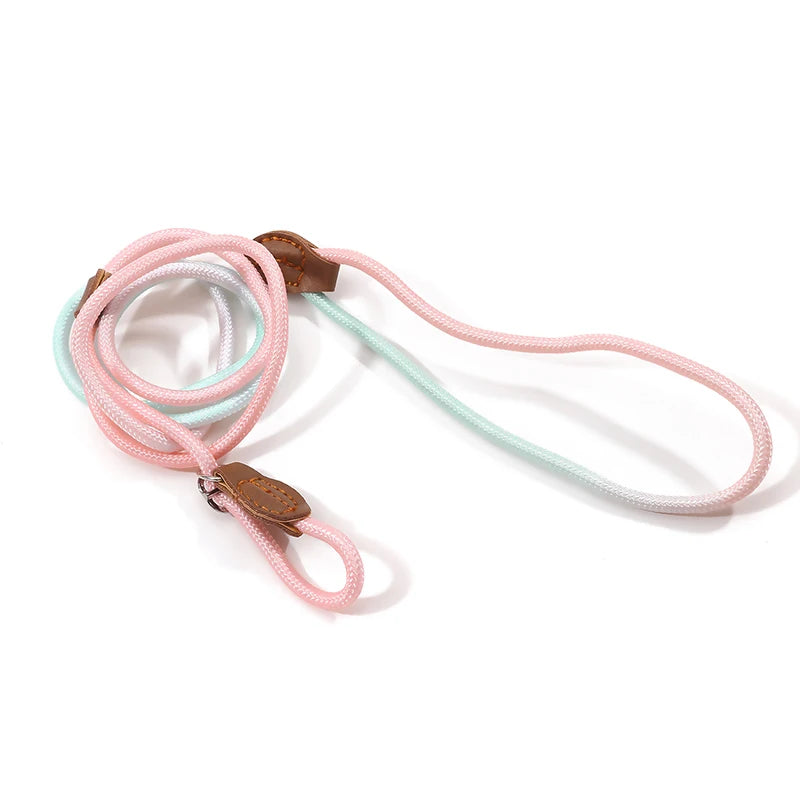 Automatic Retractable Dog Leash — 3 m / 5 m / 5 m Plus / 8 m (One-Touch Brake, Padded Grip)