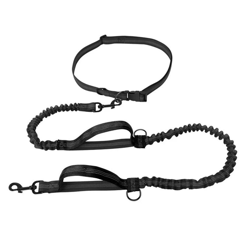 Hands-Free Running Dog Leash — Double-Elastic Bungee, Reflective Waist Belt (160–260 cm)