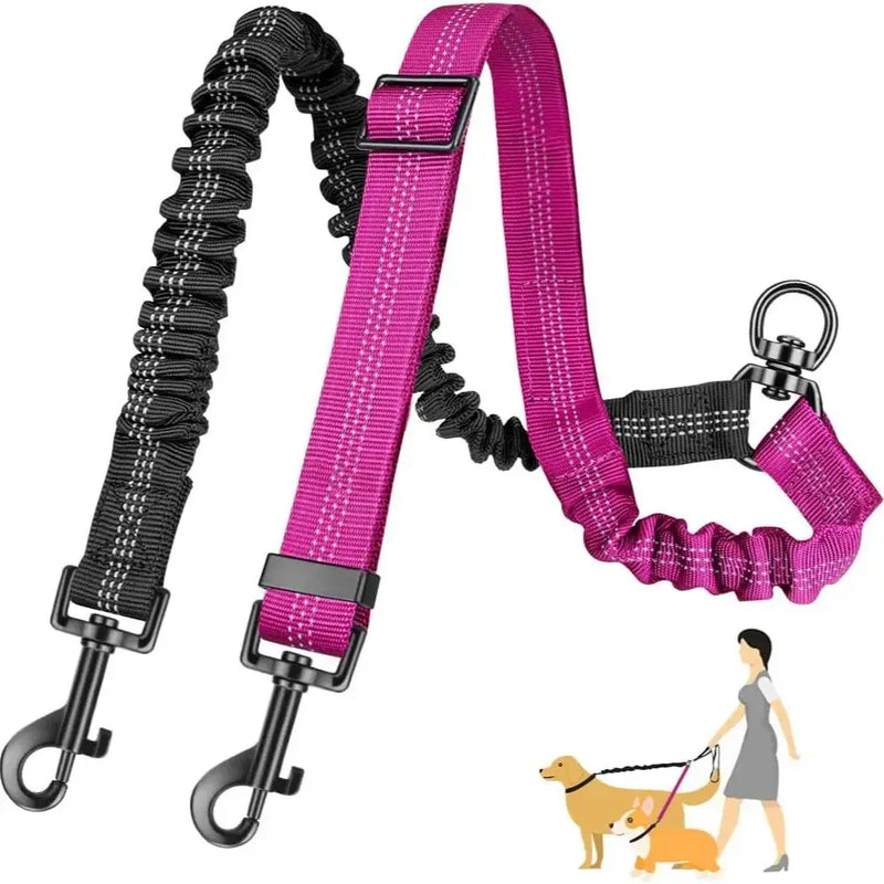 GOYN Double Dog Leash — Two-Dog Splitter Lead (Striped Nylon, Buckle Clip)
