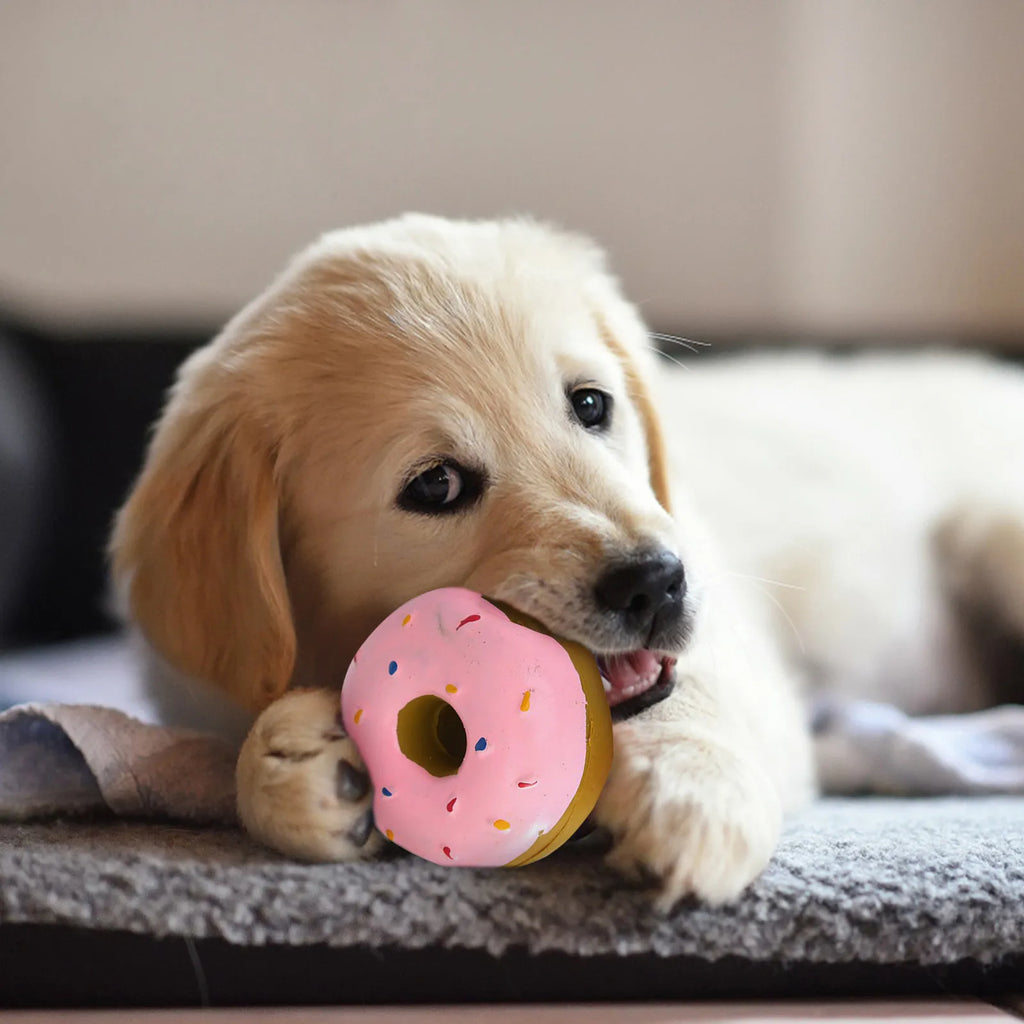 Durable Donut Dog Toy — Grinding & Cleaning Relief