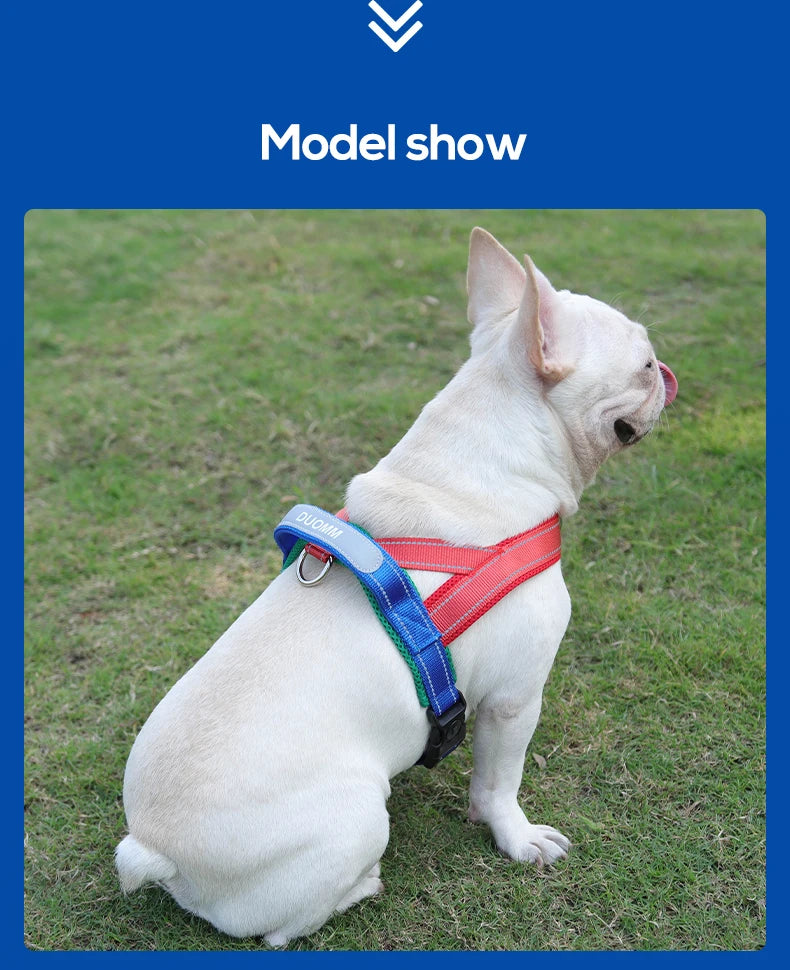 CDDMPET Saddle-Style Dog Harness — Padded, Reflective, No-Pull (S/M/L/XL)