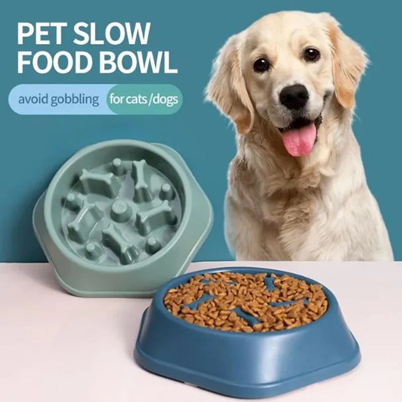 Slow Feeder Dog Bowl — Anti-Gulping Puzzle Dish (Non-Slip, Medium Dogs)