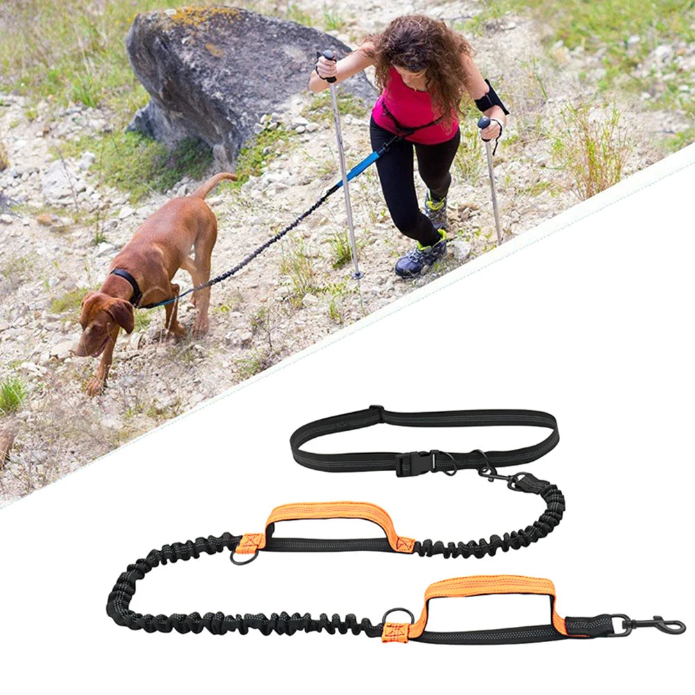 Hands-Free Running Dog Leash — Double-Elastic Bungee, Reflective Waist Belt (160–260 cm)