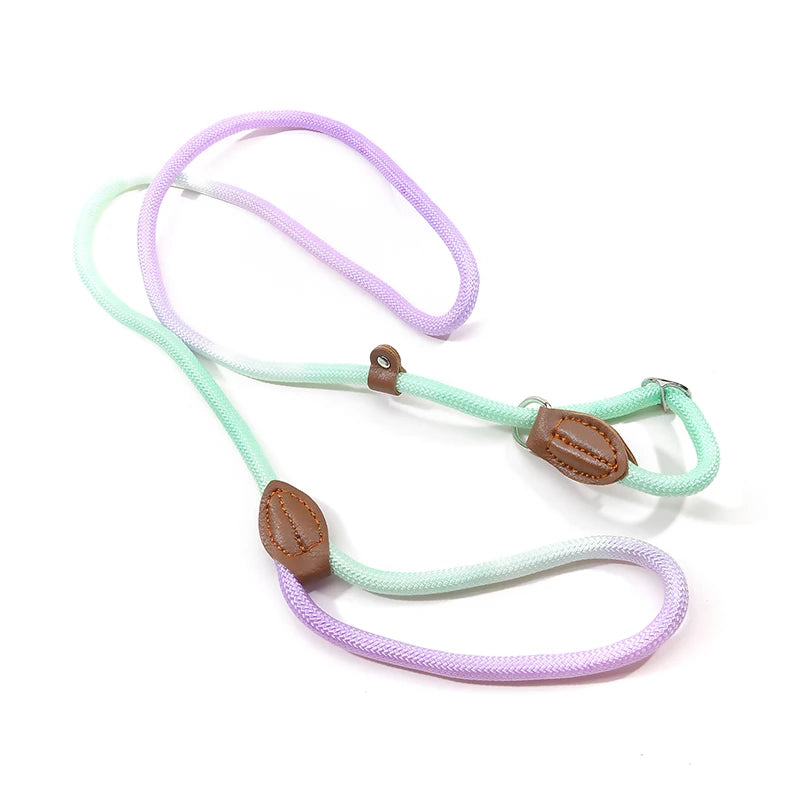 Automatic Retractable Dog Leash — 3 m / 5 m / 5 m Plus / 8 m (One-Touch Brake, Padded Grip)