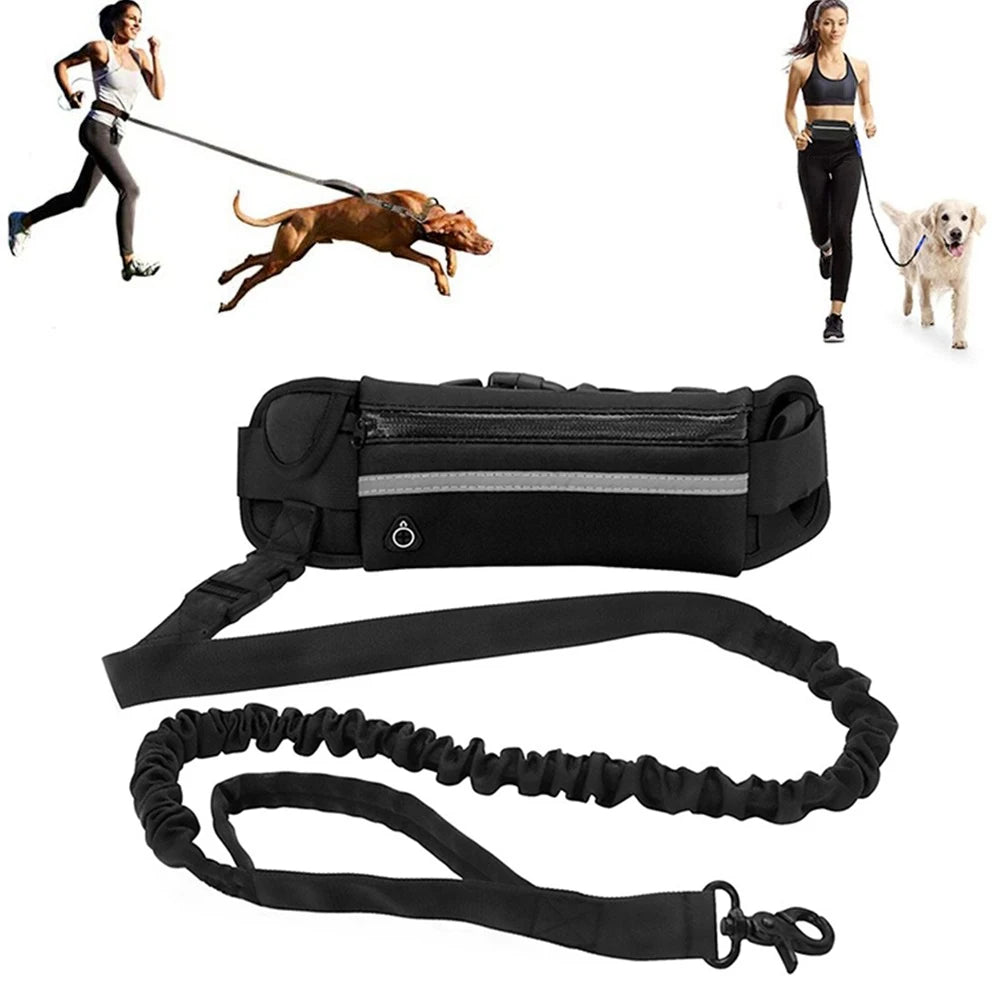 Willstar Hands-Free Running Dog Leash — Waist Belt + Bungee Lead + Reflective Stitching (Black/Green)