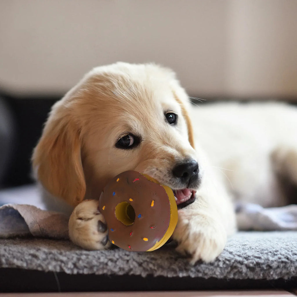 Durable Donut Dog Toy — Grinding & Cleaning Relief