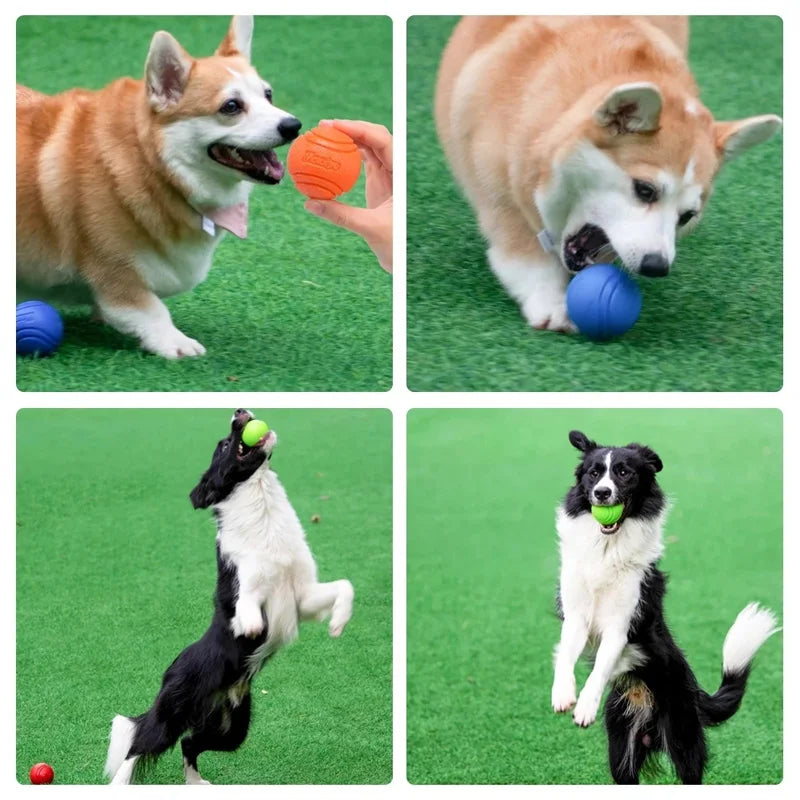 Fetch & Bounce Rubber Ball — Fun Chew Toy for Pups