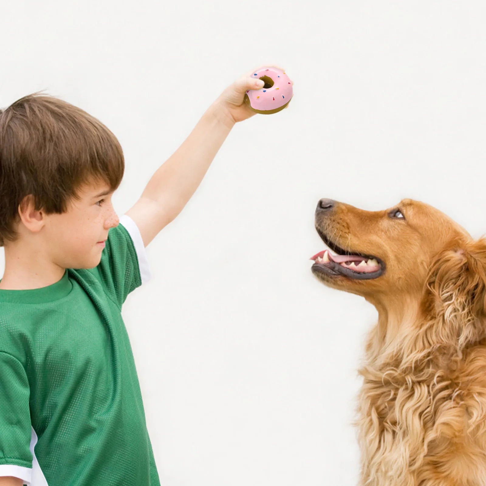 Durable Donut Dog Toy — Grinding & Cleaning Relief