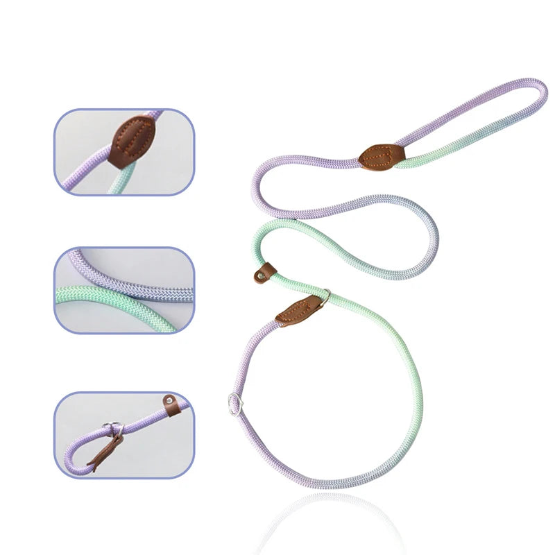 Automatic Retractable Dog Leash — 3 m / 5 m / 5 m Plus / 8 m (One-Touch Brake, Padded Grip)