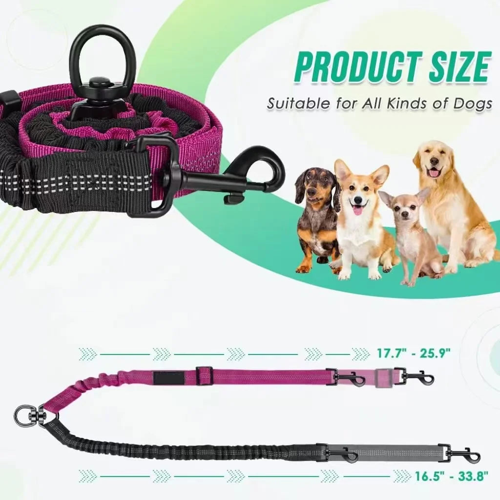 GOYN Double Dog Leash — Two-Dog Splitter Lead (Striped Nylon, Buckle Clip)