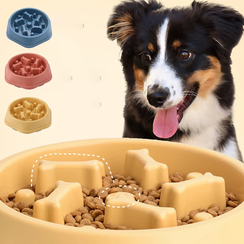 Slow Feeder Dog Bowl — Anti-Gulping Puzzle Dish (Non-Slip, Medium Dogs)