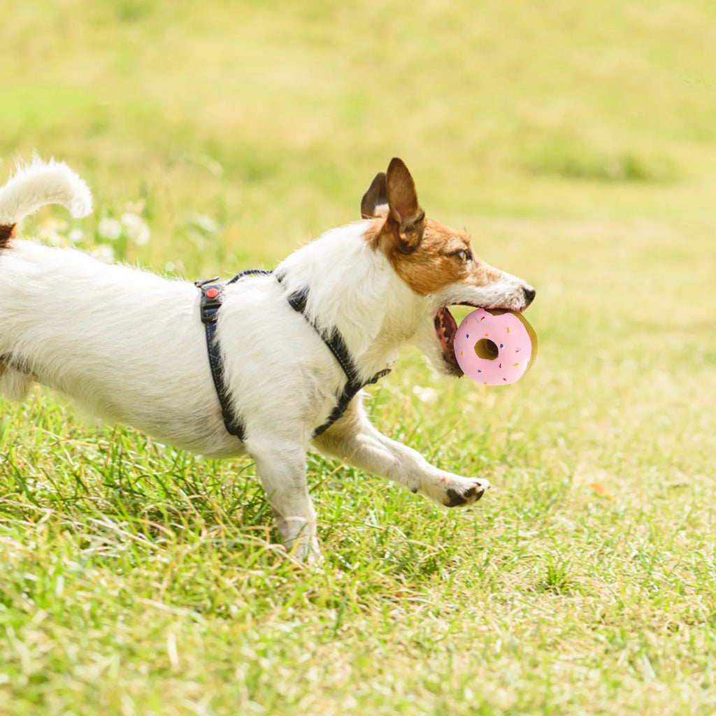 Durable Donut Dog Toy — Grinding & Cleaning Relief