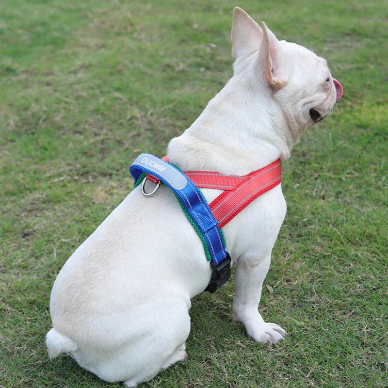 CDDMPET Saddle-Style Dog Harness — Padded, Reflective, No-Pull (S/M/L/XL)