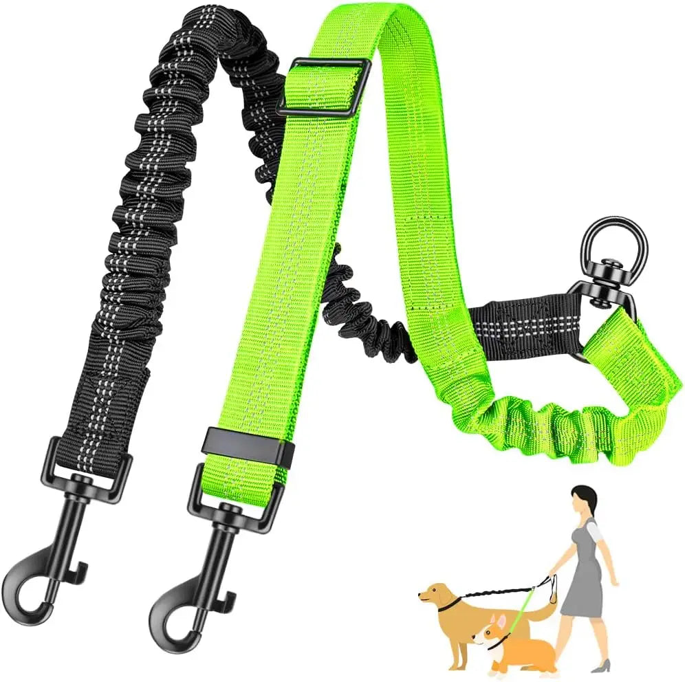 GOYN Double Dog Leash — Two-Dog Splitter Lead (Striped Nylon, Buckle Clip)