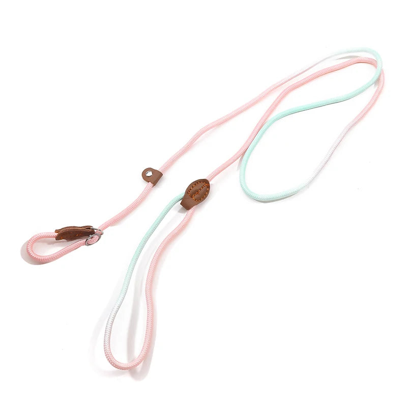 Automatic Retractable Dog Leash — 3 m / 5 m / 5 m Plus / 8 m (One-Touch Brake, Padded Grip)