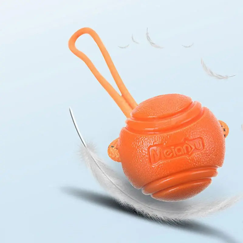 Bounce & Tug Ball — Rubber Dog Toy with Rope