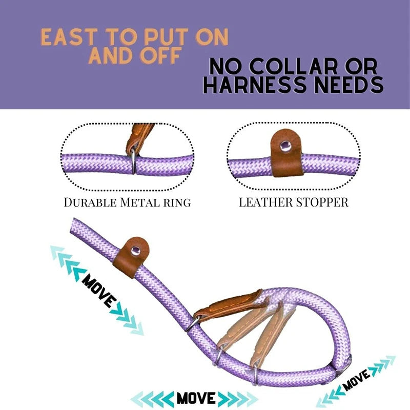 Automatic Retractable Dog Leash — 3 m / 5 m / 5 m Plus / 8 m (One-Touch Brake, Padded Grip)