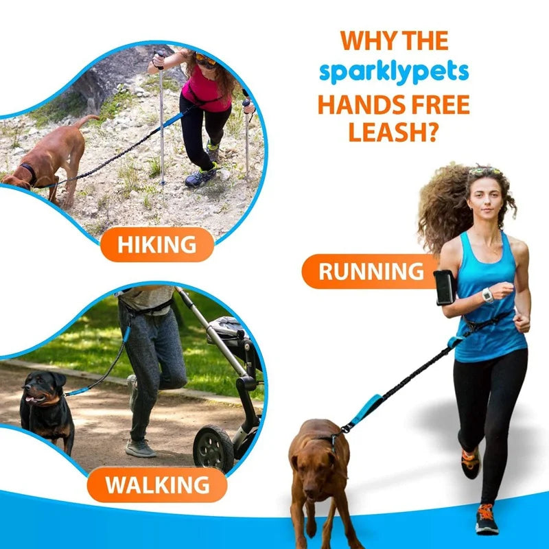 Hands-Free Running Dog Leash — Double-Elastic Bungee, Reflective Waist Belt (160–260 cm)