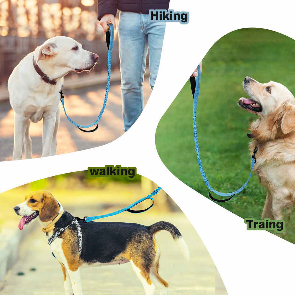 Retractable Dog Leash — Lightweight Polyester Blend (All Stages)