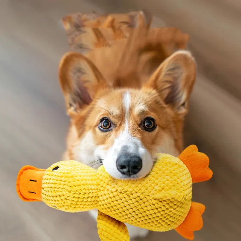Puppy Duck Chew Toy — Soft Plush, Gentle Teeth Cleaning