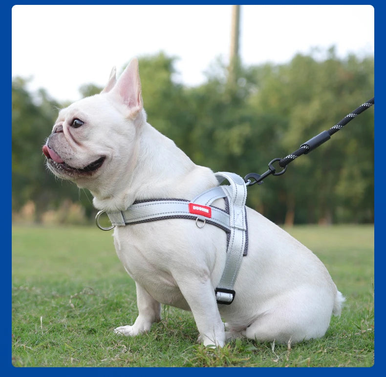 CDDMPET Saddle-Style Dog Harness — Padded, Reflective, No-Pull (S/M/L/XL)
