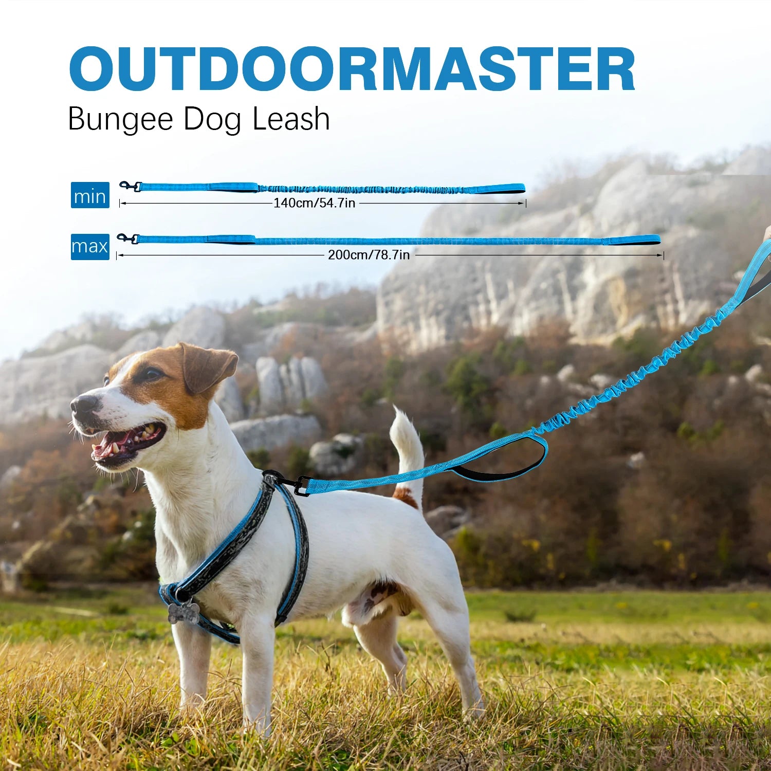 Retractable Dog Leash — Lightweight Polyester Blend (All Stages)