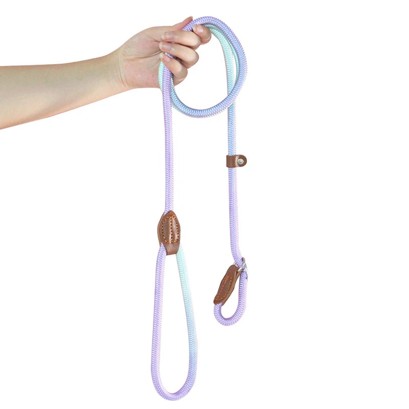 Automatic Retractable Dog Leash — 3 m / 5 m / 5 m Plus / 8 m (One-Touch Brake, Padded Grip)