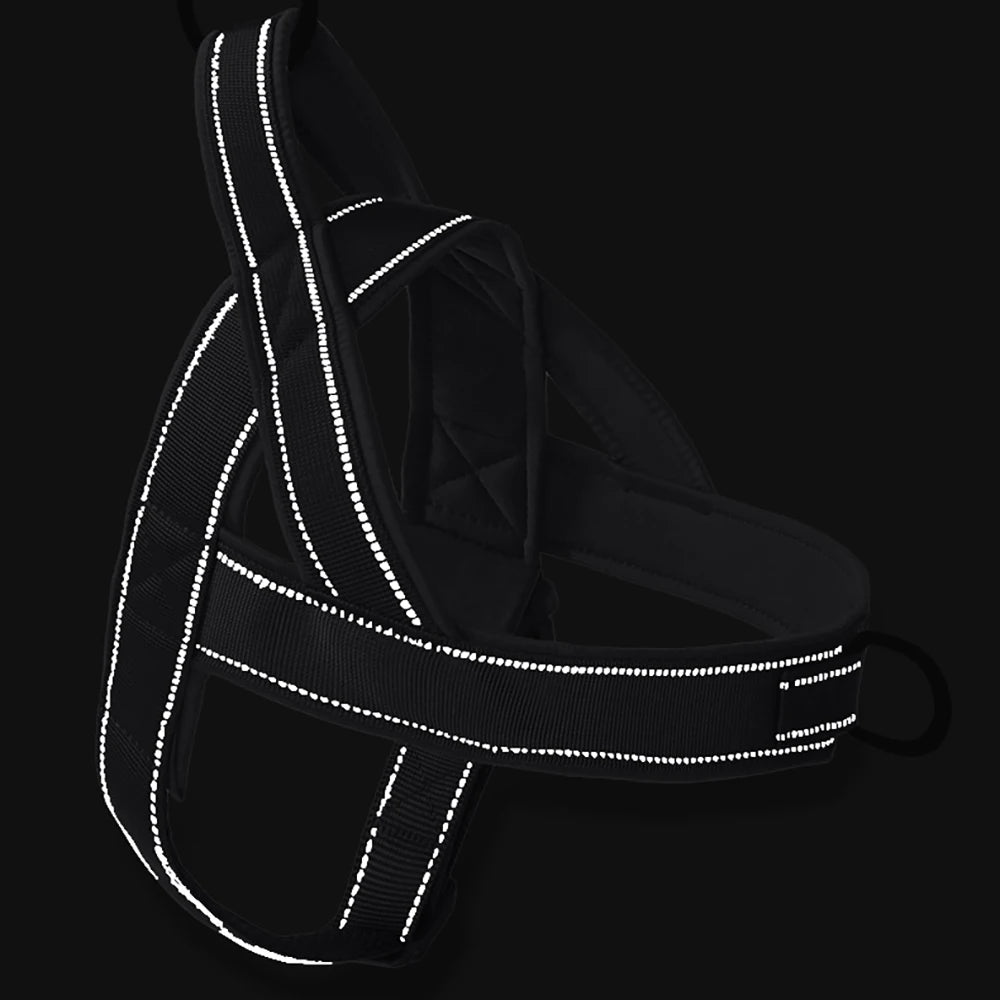 Tactical-Style Dog Harness — Oxford Nylon, Dual Leash Points, Traffic Handle (S/M/L/XL)