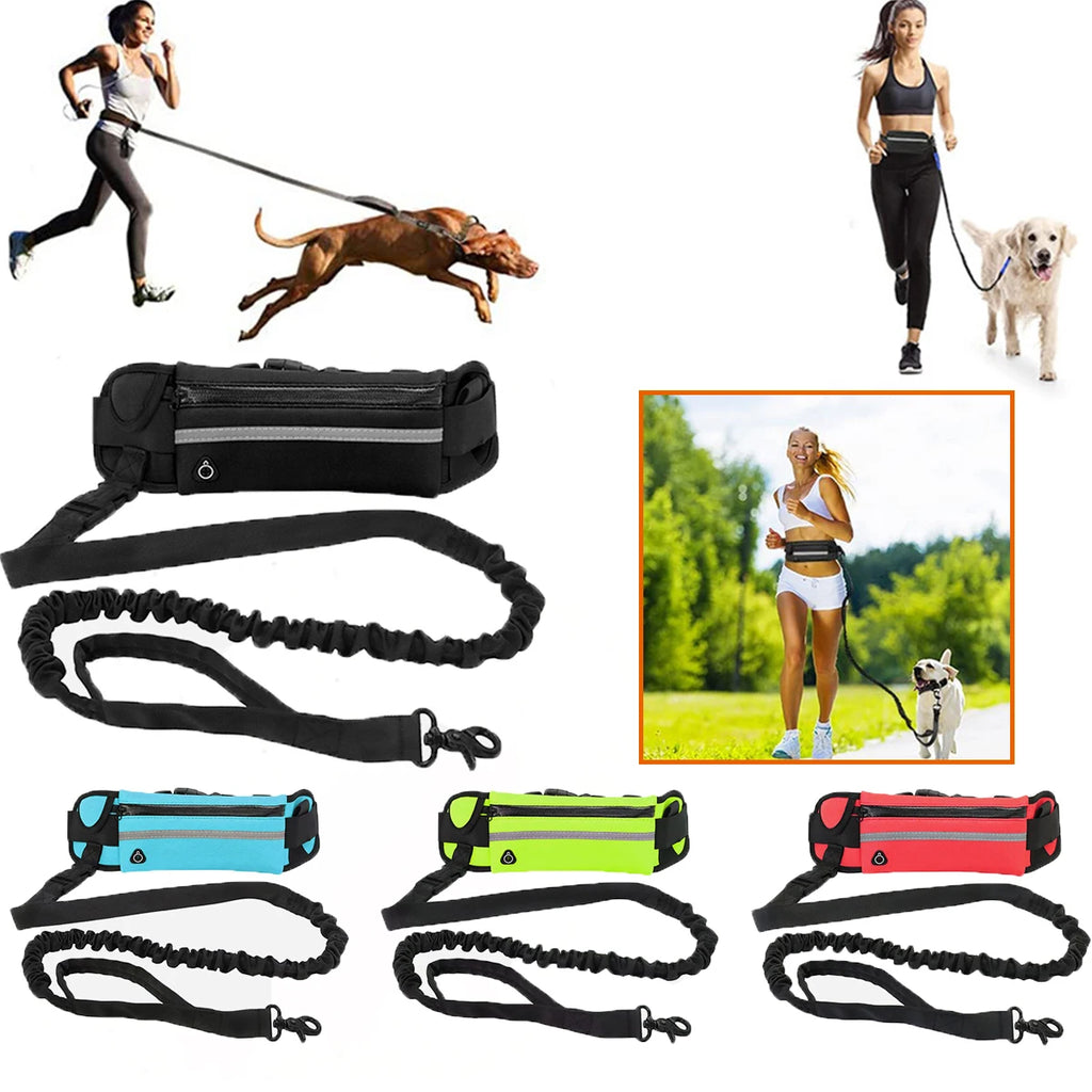 willstar Hands-Free Running Dog Leash — Waist Belt + Bungee Lead + Pouch