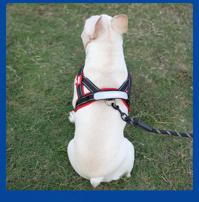 CDDMPET Saddle-Style Dog Harness — Padded, Reflective, No-Pull (S/M/L/XL)