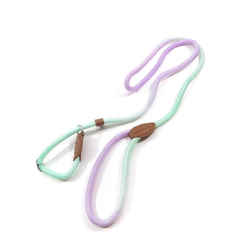 Automatic Retractable Dog Leash — 3 m / 5 m / 5 m Plus / 8 m (One-Touch Brake, Padded Grip)