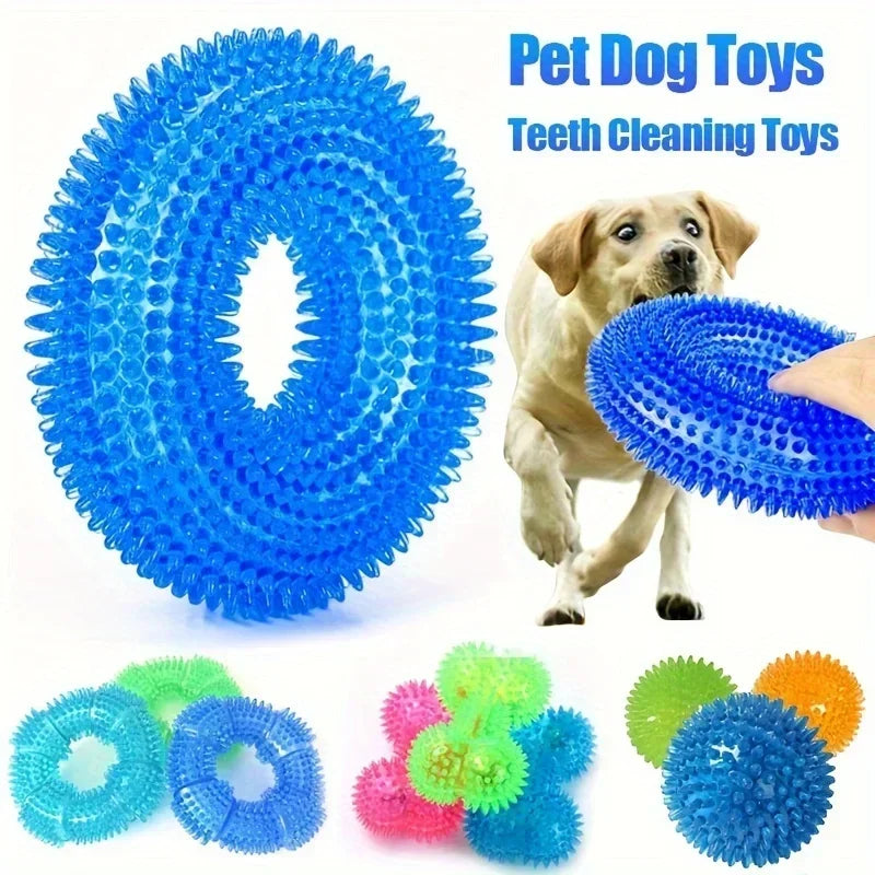 Squeaky Dog Ball — Durable for Biting, Chewing, Squeezing & Fetch