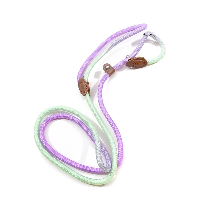 Automatic Retractable Dog Leash — 3 m / 5 m / 5 m Plus / 8 m (One-Touch Brake, Padded Grip)