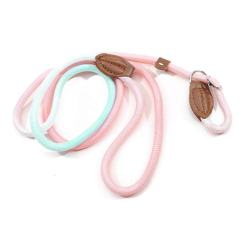 Automatic Retractable Dog Leash — 3 m / 5 m / 5 m Plus / 8 m (One-Touch Brake, Padded Grip)