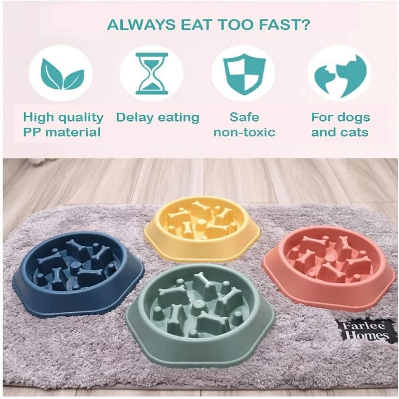 Slow Feeder Dog Bowl — Anti-Gulping Puzzle Dish (Non-Slip, Medium Dogs)