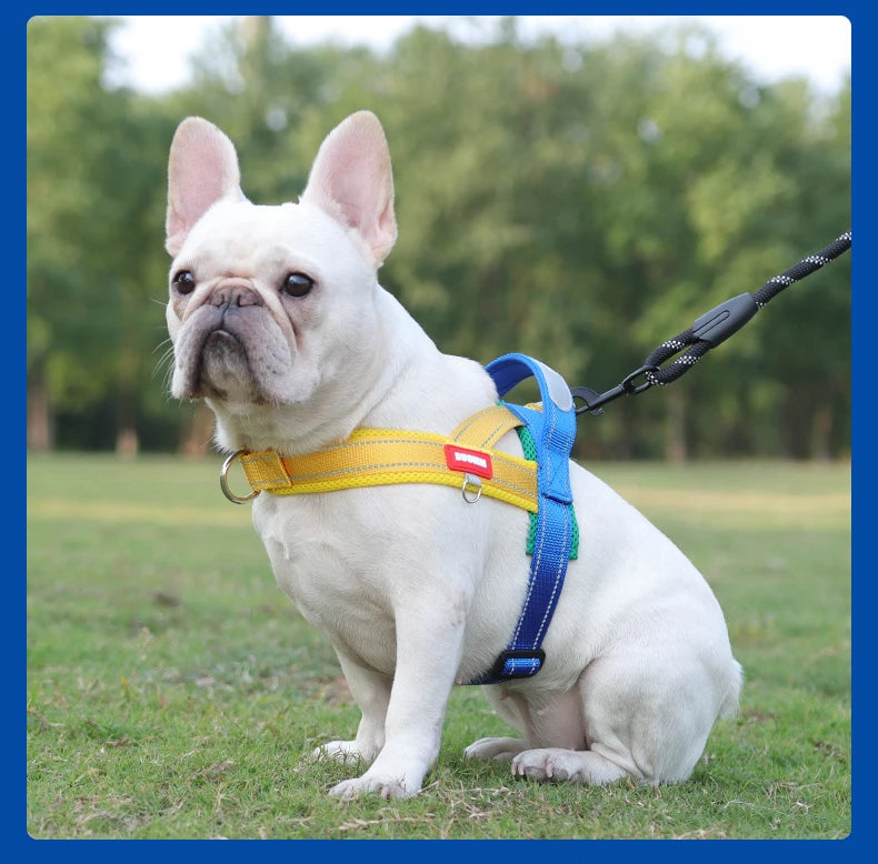 CDDMPET Saddle-Style Dog Harness — Padded, Reflective, No-Pull (S/M/L/XL)