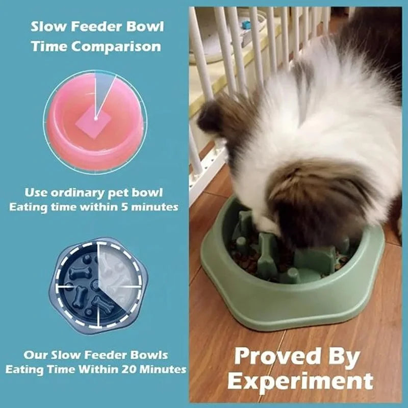 Slow Feeder Dog Bowl — Anti-Gulping Puzzle Dish (Non-Slip, Medium Dogs)