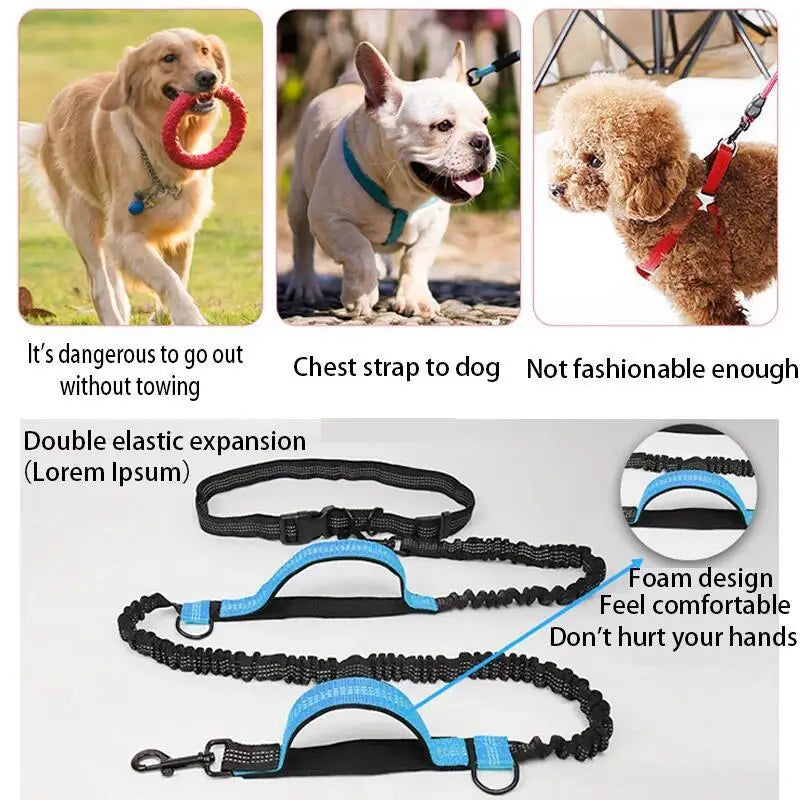 Hands-Free Running Dog Leash — Double-Elastic Bungee, Reflective Waist Belt (160–260 cm)
