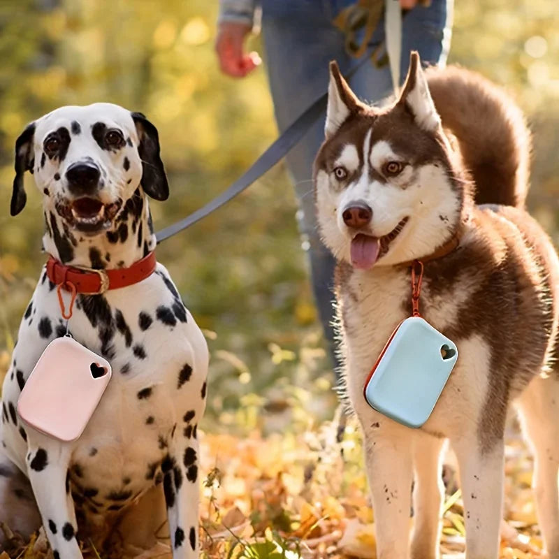 Soft-Sided Pet Carrier — Windproof, Silicone Shell (Small Breeds)