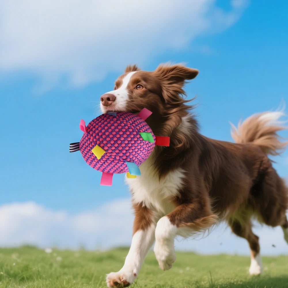 Tug & Squeak Plush Ball — Fun Chew Toy for Happy Pups