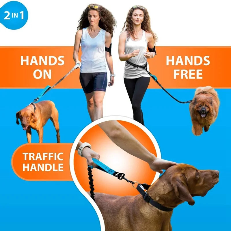 Hands-Free Running Dog Leash — Double-Elastic Bungee, Reflective Waist Belt (160–260 cm)